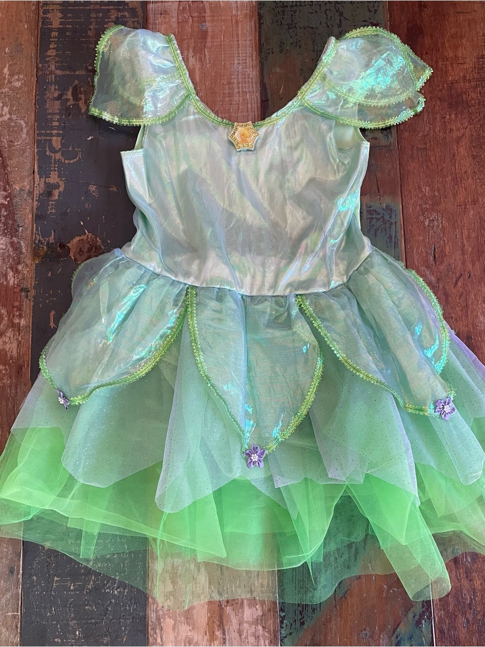 Disney Store Iridescent TinkerBell Costume Dress